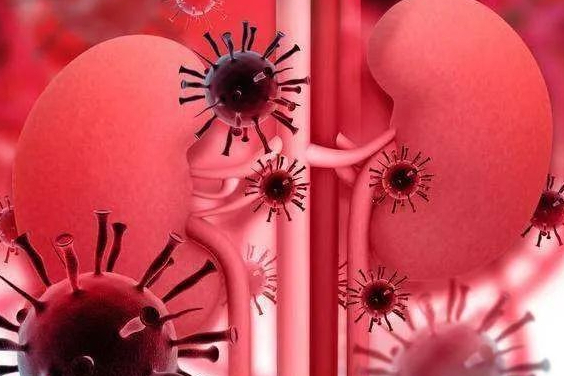 新型CAR-T疗法新药临床申请已提交，用于治疗狼疮性肾炎