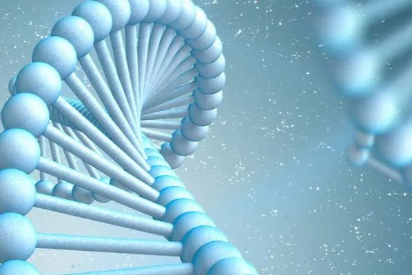 康龙化成三季报：营收74.03亿！大分子和细胞与基因治疗服务增收30%