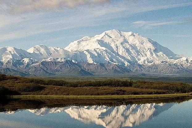诺华小核酸新药业绩渐显！一年2针的降脂“神器”