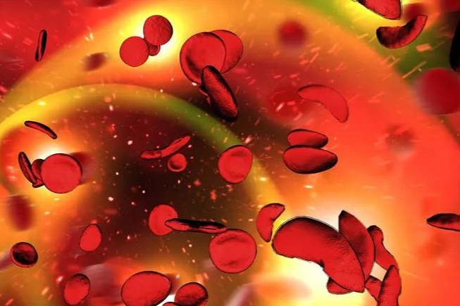 临床试验患者死亡！CRISPR基因编辑技术治疗杜氏肌萎缩症失败告终