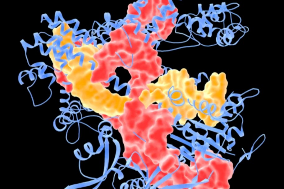 CRISPR技术结合TCR-T疗法治疗癌症，临床实验表现良好有效