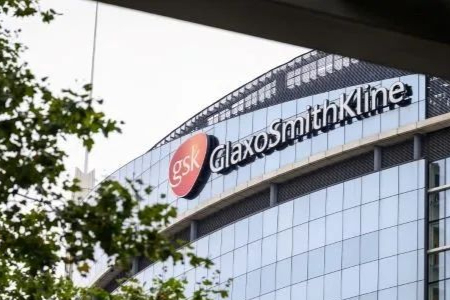 葛兰素史克削减细胞疗法产品管线，退出与Immatics的合作