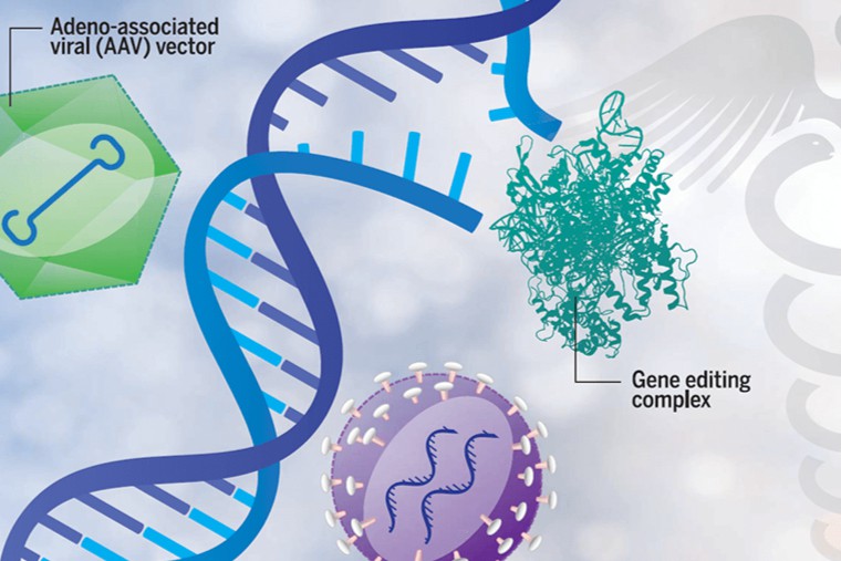 致力于AAV基因治疗新药研发！金唯科生物技术平台及研发管线梳理