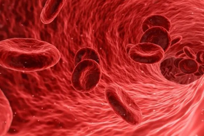 300亿抗血栓药物市场！今年已添3款首仿药，多款新药获临床