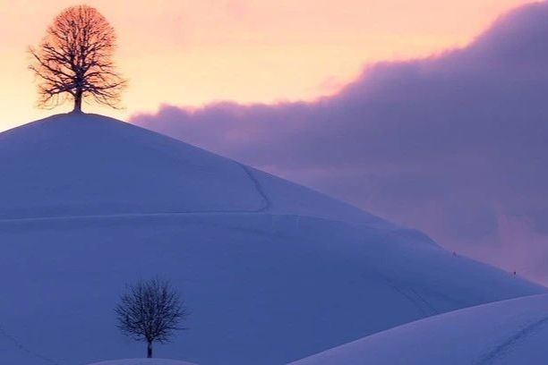 眼科GA创新补体疗法，Iveric Bio有望！公司亏损严重，成败在此一举