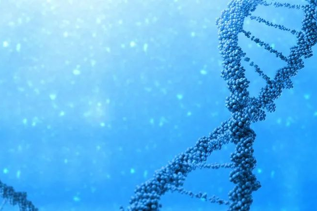 吉利德与Arcellx合作开发靶向BCMA的CAR-T疗法，ORR高达100%