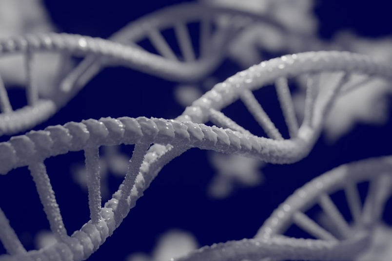 Biostage利用自体干细胞治疗食道癌，最快14天可再生食管