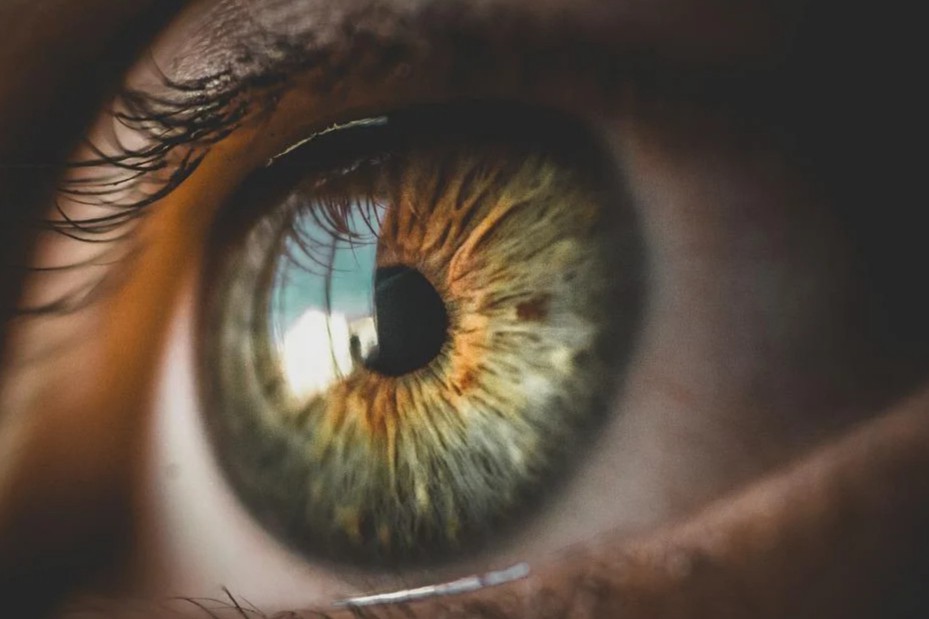 国内眼科基因治疗竞争格局：药企角逐，纽福斯一骑绝尘！