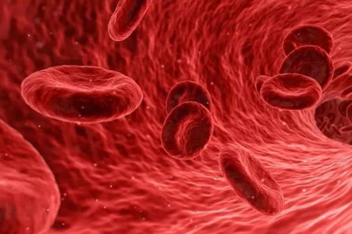 血管性血友病新药！武田制药中国递交上市，获CDE受理