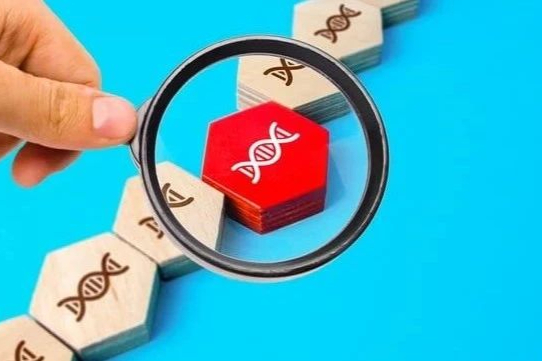 2022年热门靶点TOP5盘点，肿瘤仍是新药研发最热门领域！