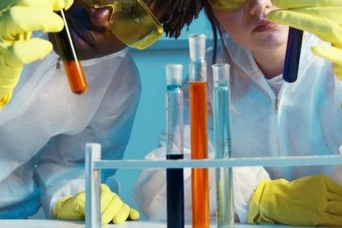 浅谈原料药生产洁净区环境管控实践