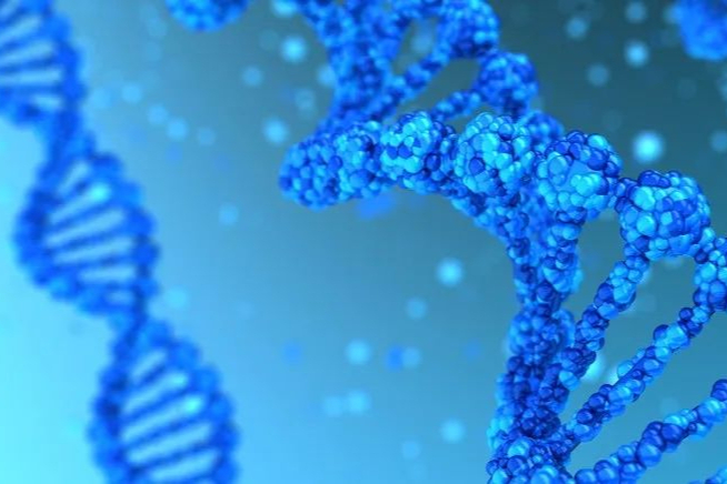 癌症免疫疗法：PD-L1“组新CP”！罗氏$2.5亿收购，信达2款布局中