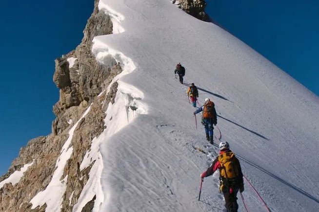 2月，6位跨国药企高管变动！