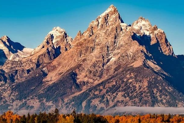 万泰生物：20价肺炎疫苗启动临床，旨在覆盖更多！