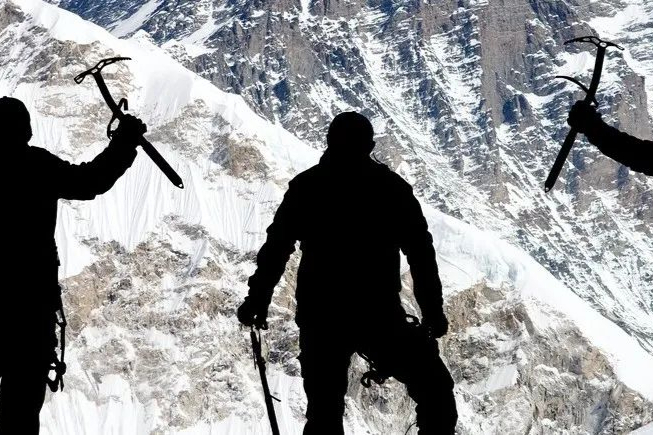 镰状细胞贫血病CGT疗法遇挫！3家公司砍管线、退货、放弃