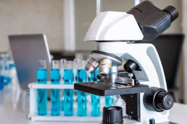 505b2是否会是诗和远方？