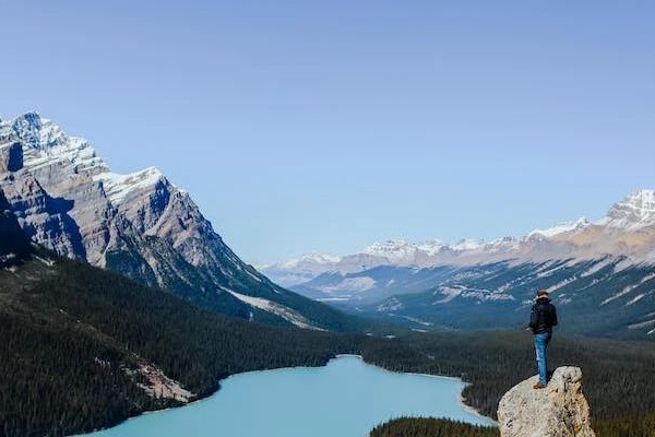 生物药研发势头强劲，这家本土生命科学服务商大放异彩
