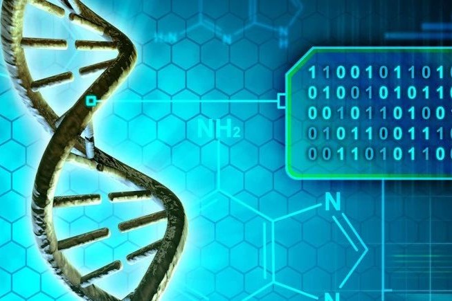 裁员30%，削减管线！这家基因疗法公司致力于改变DMD的治疗方式