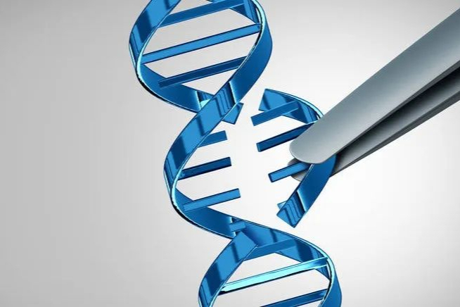 2022年小核酸药物营收排名TOP10！