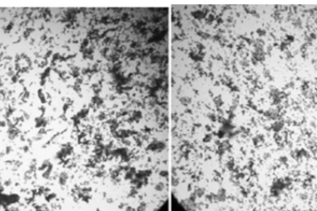 晶体粒度形貌控制：结晶后处理的影响（After the crystallizer）