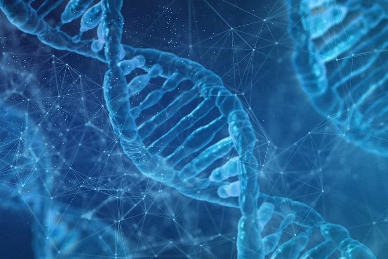 砍管线，又一家T细胞疗法公司调整研发战略