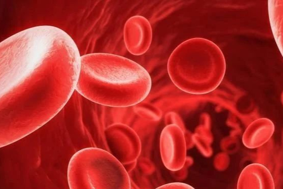 抗凝药物销售破亿！上海药企仿制药申报上市，冲刺国产第2家