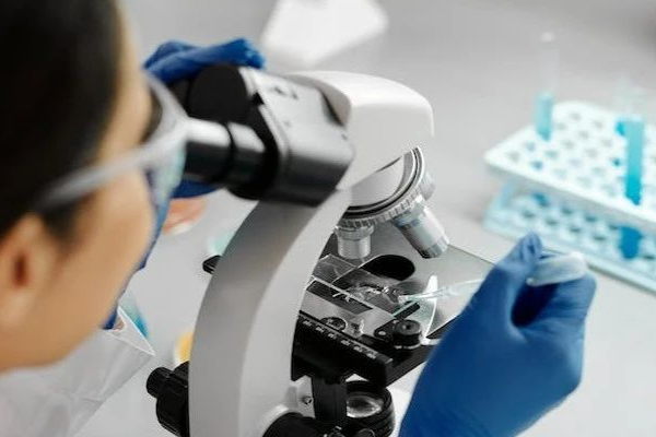 加快核酸药物开发，蛋白质定量新工具！