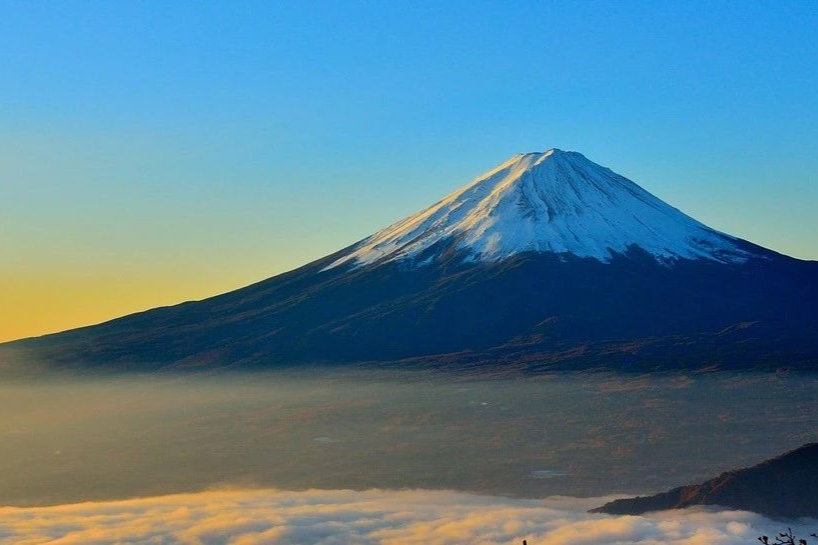 TCR-T细胞疗法公司CEO跳槽，诺华投资！