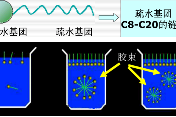 表面活性剂在溶出介质开发中的应用