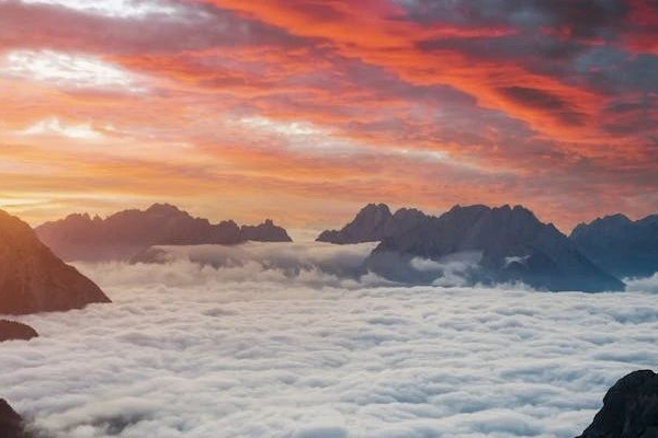 小而美CXO : 澎立生物IPO，拟募资超6亿！