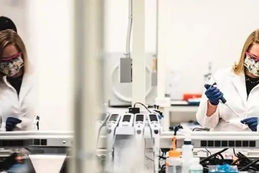 干货 | 药物制剂分析方法转移检测项的解析