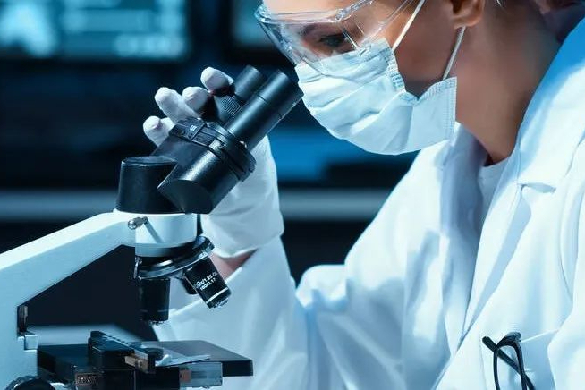 运用QbD理念浅谈公司GMP活动中培训工作的组织与实施