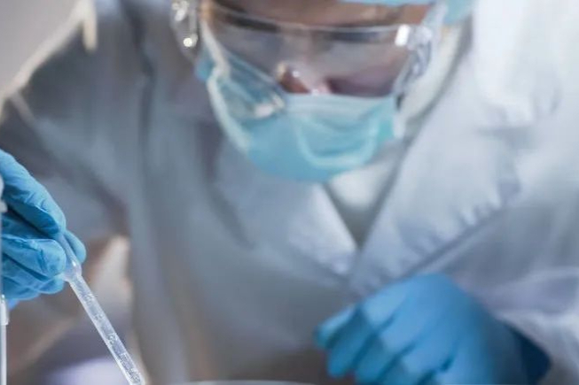 创新药IND申报阶段质量研究内容