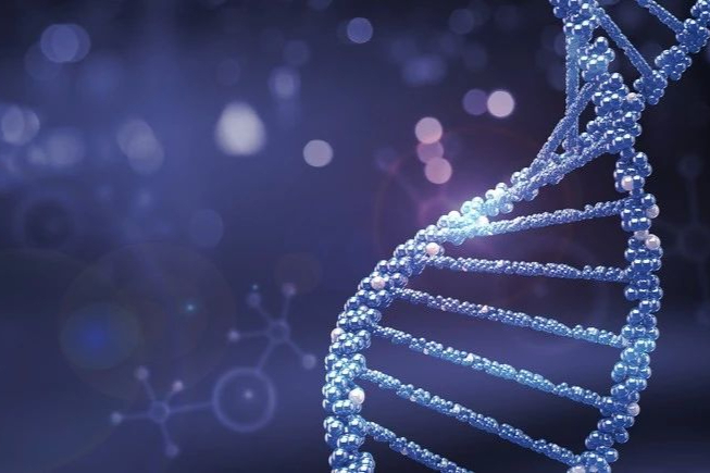 TCR细胞疗法龙头！Immunocore管线梳理，目前市值27.5亿美元！