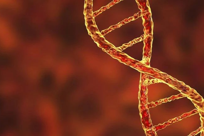 暴涨近200%！这家公司公布同种异体γ-δT细胞疗法最新数据