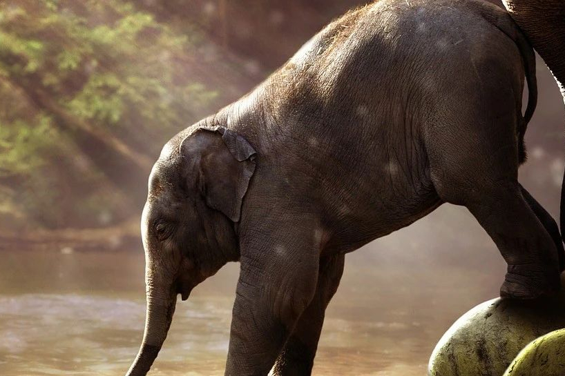 CNS疾病正成为全球最大疾病负担之一，这家药企深耕三十多年！