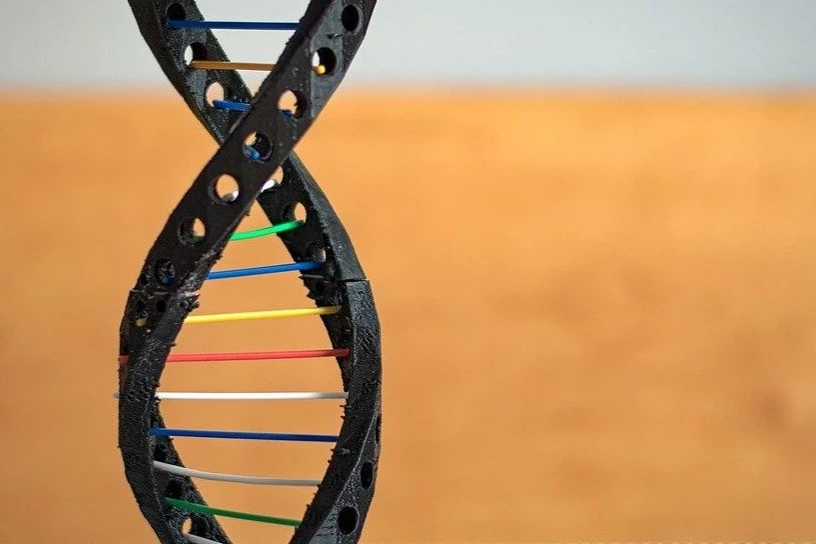 小核酸龙头Sarepta：Q1营收大涨20%，一款基因疗法将获批！