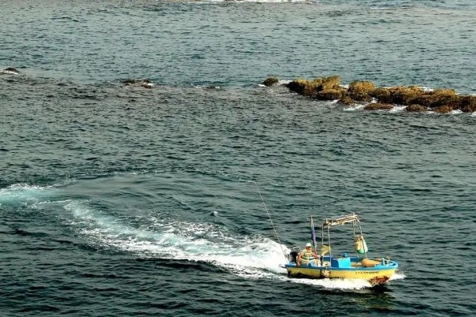 大涨66%！Claudin 18.2 ADC药物临床数据积极，石药集团出海成功