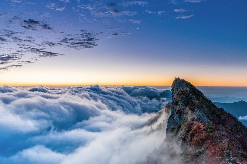 ADC药物持续火热！从贷款续命到股价大涨，ImmunoGen市值$34亿！