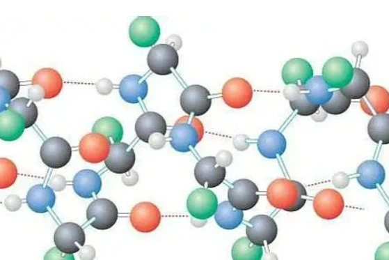 蛋白质聚集因素多种多样，一文理清聚集途径及控制策略