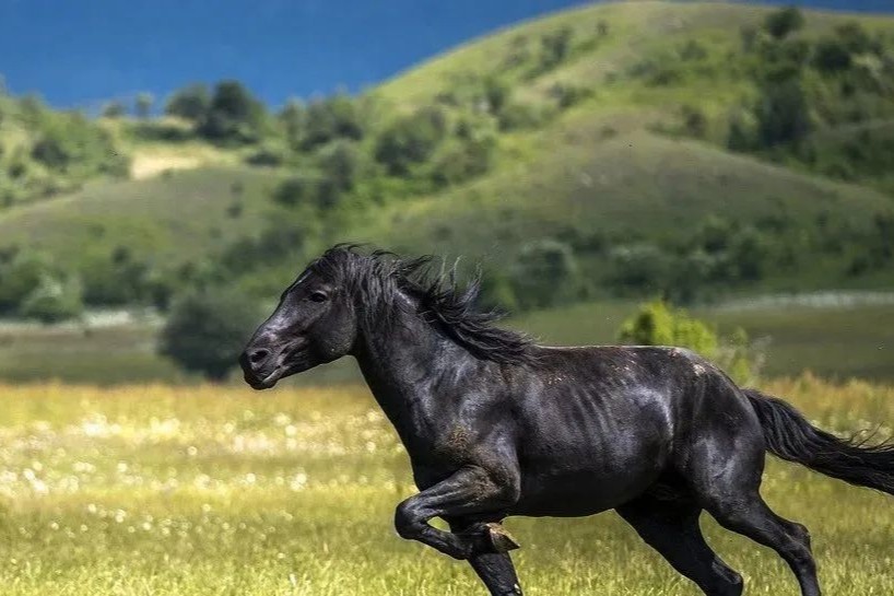 《Cell Reports Medicine 》发布——华津医药开发基因工程新药桑美威克®