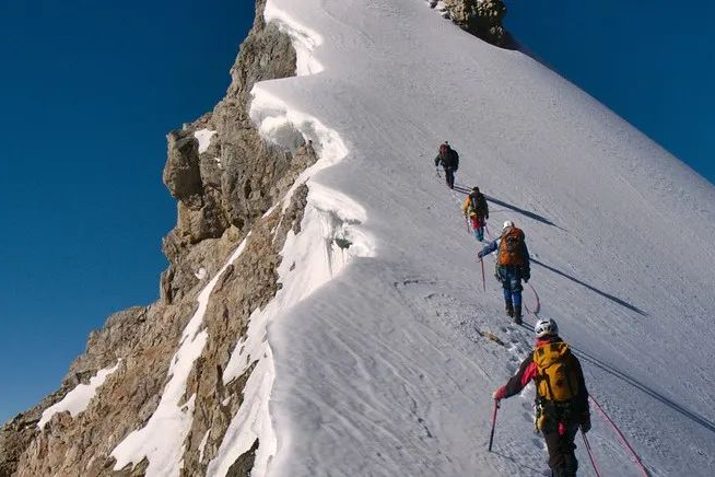 2023年全球制药TOP50强出炉，辉瑞稳居榜首，中国4家上榜！