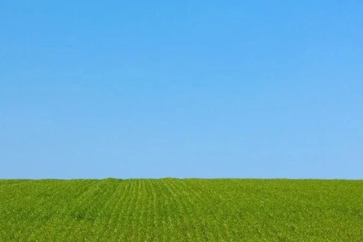 罕见病药企走向：筚路蓝缕26年，BioMarin携基因疗法给出独家思路！