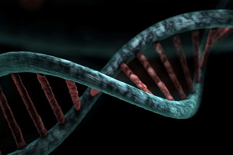 320万美元！首款杜氏肌营养不良症AAV基因疗法获批上市