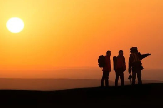 大跌70%！终止IL-4Rα单抗2a期临床试验，打击巨大！