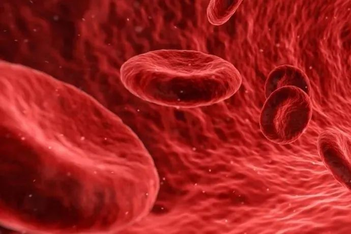 股价下跌 ！辉瑞终止2款血液病疗法合作