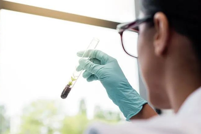 Biogen：小核酸药物2023H1卖8.8亿美元，降3%