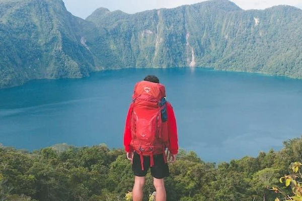 百济神州上半年泽布替尼在美销售翻倍，PD-1收入超18亿元