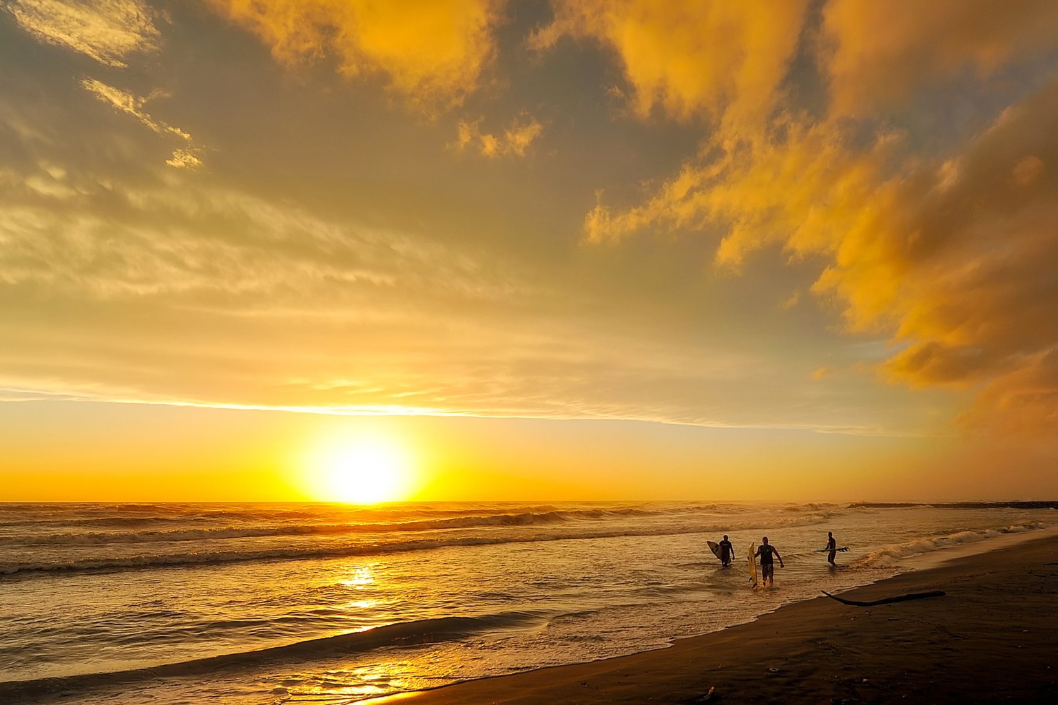 10.6亿元！一项临床前siRNA资产被收购