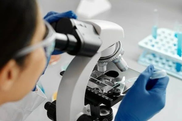 5000万美元！安斯泰来投资一家CGT疗法公司